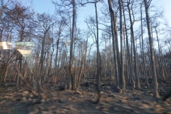 20220724_194135-scaled